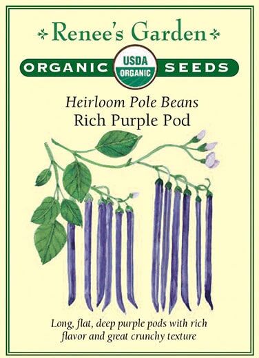Renee's Garden Heirloom Pole Beans Rich Purple Pod Seeds