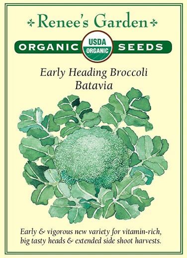Renee's Garden Early Heading Broccoli Batavia Seeds