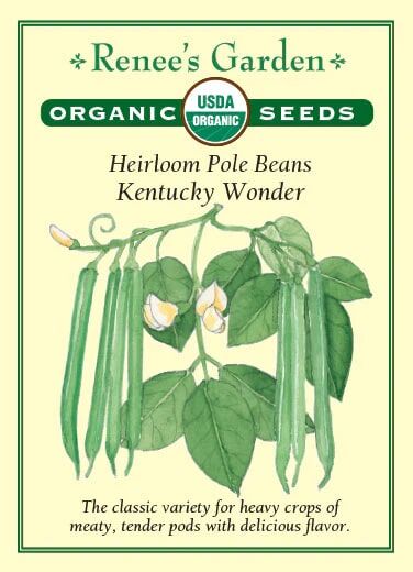 Renee's Garden Heirloom Pole Beans Kentucky Wonder Seeds