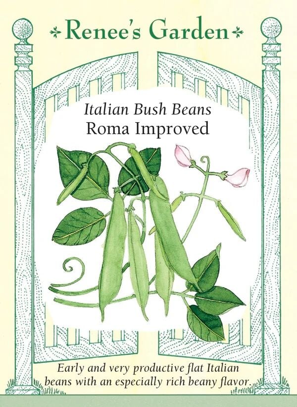 Renee's Garden Roma Improved Italian Bush Bean Seeds, 15-g