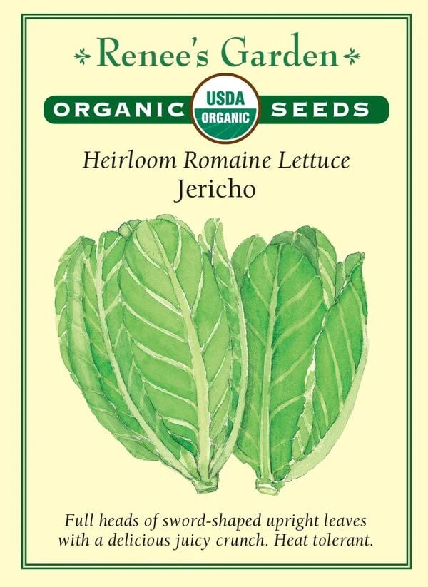 Renee's Garden Jericho Heirloom Romaine Lettuce Seeds, 1-g