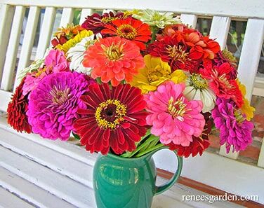 Renee's Garden Florist's Zinnias Blue Ribbon Bouquet Seeds