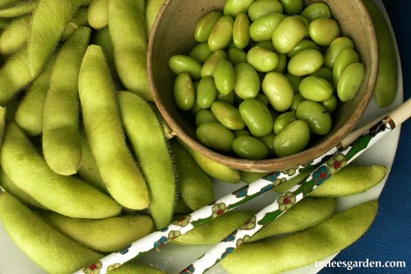 Renee's Garden Fresh Soy Beans Edamame Seeds