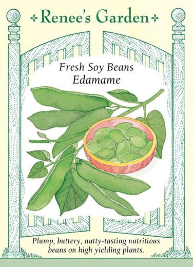 Renee's Garden Fresh Soy Beans Edamame Seeds