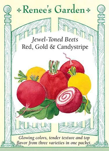 Renee's Garden Jewel-Toned Beets Red, Gold & Candystripe Seeds