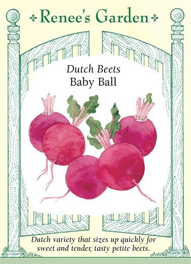 Renee's Garden Dutch Beets Baby Ball Seeds