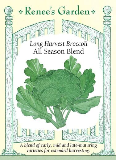 Renee's Garden Long Harvest Broccoli All Season Blend Seeds