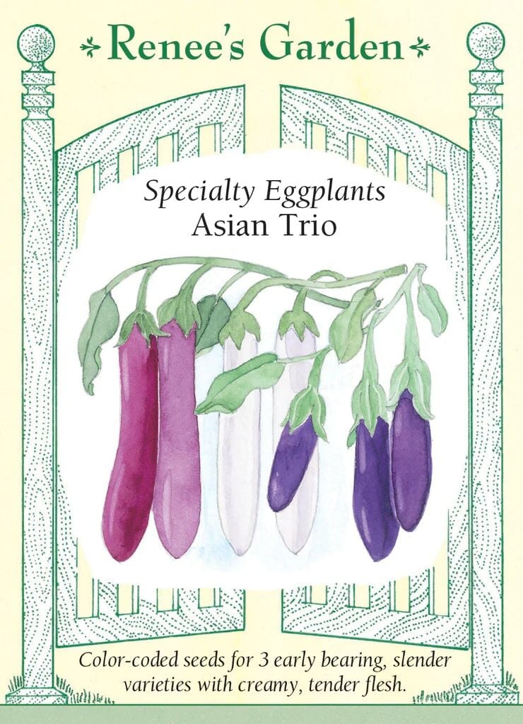 Asian Trio Eggplant Seeds - Thumbnail 2