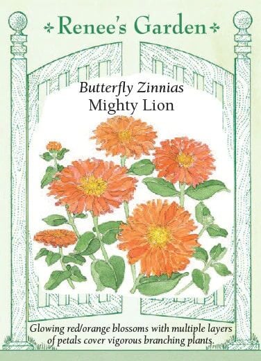 Renee's Garden Butterfly Zinnias Mighty Lion Seeds