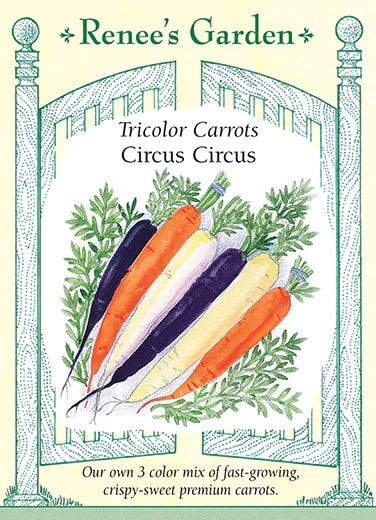 Renee's Garden Tricolor Carrots Circus  Seeds