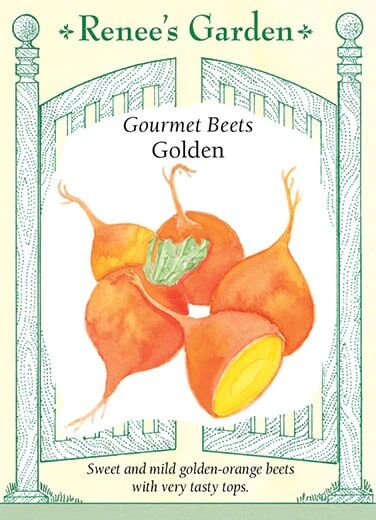 Renee's Garden Gourmet Beets Golden Seeds