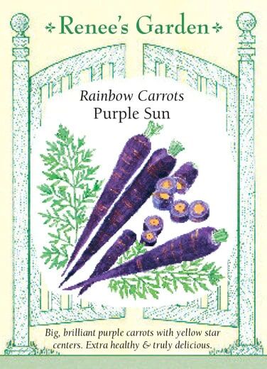 Renee's Garden Rainbow Carrots Purple Sun Seeds