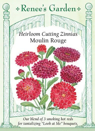 Renee's Garden Heirloom Cutting Zinnias Moulin Rouge Seeds