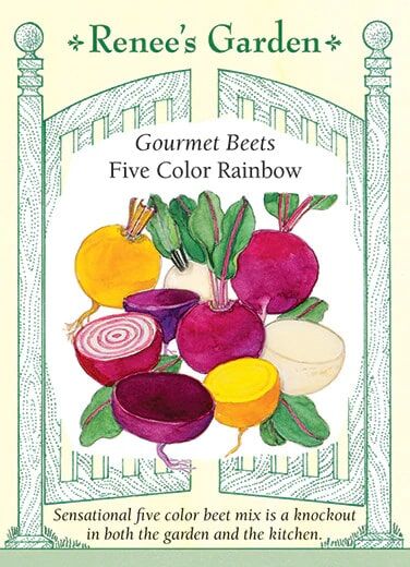 Renee's Garden Gourmet Beets Five Color Rainbow Seeds