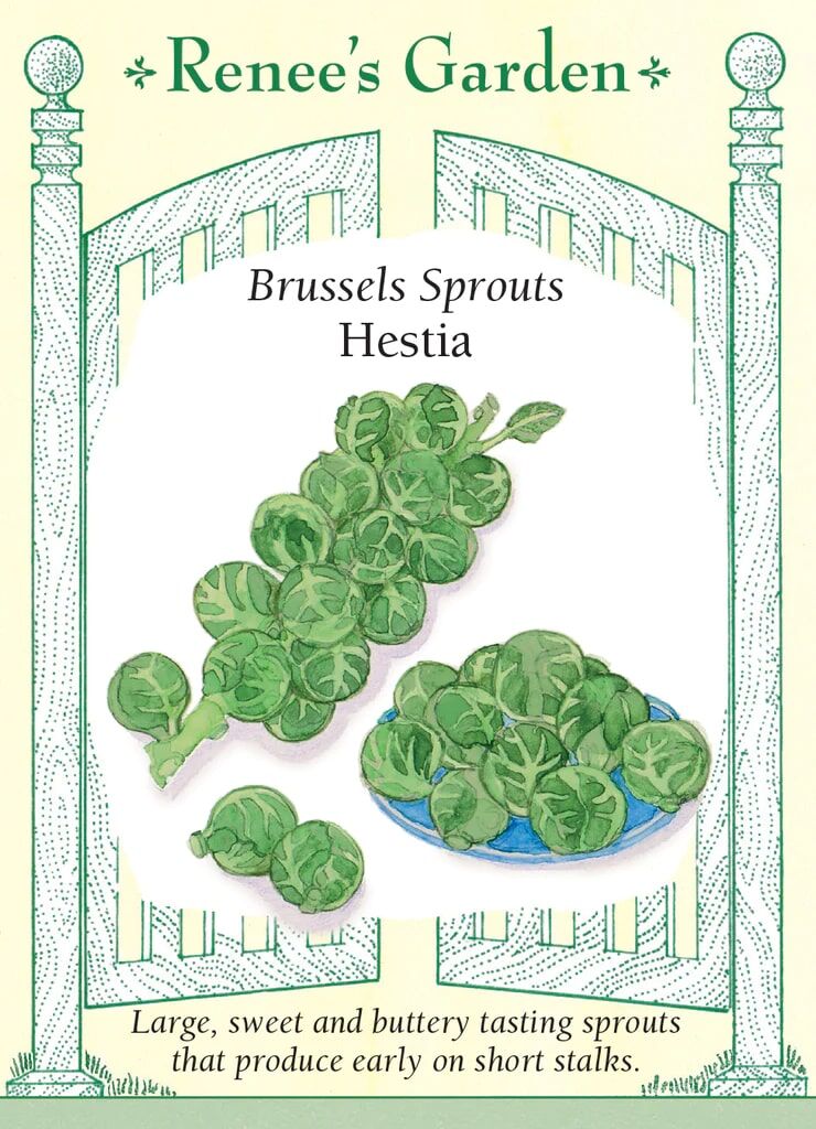 Renee's Garden Brussels Sprouts Hestia Seeds