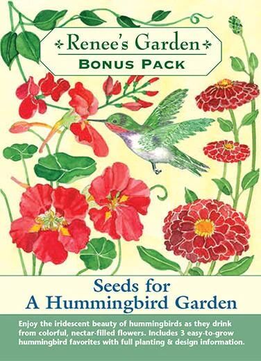 Renee's Garden Bonus Pack Seeds for a Hummingbird Garden