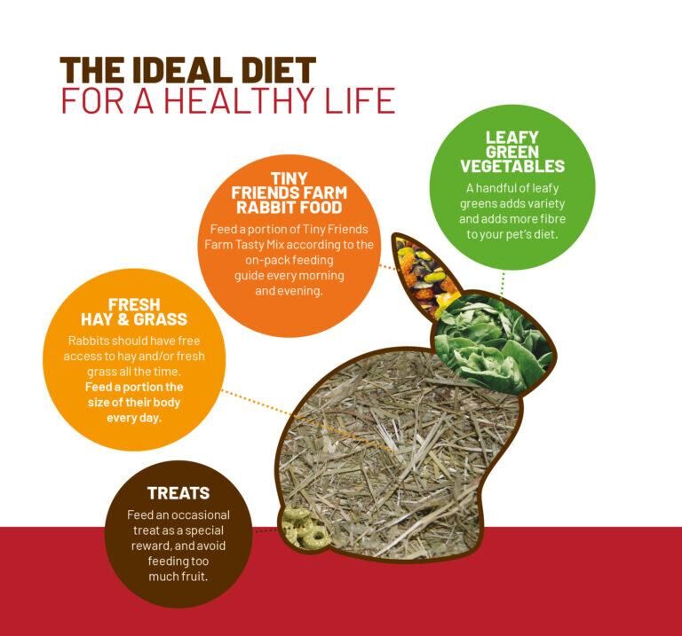 Tiny Friends Farm Russel Rabbit Tasty Mix, 9-Lb