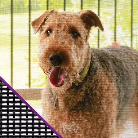 ADFORS Pet Resistant Insect Screen, 48-In X 84-In