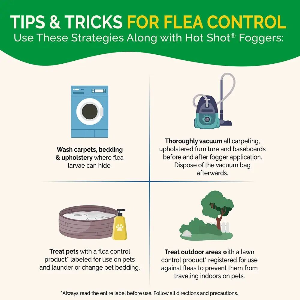 Hot Shot Fogger with Odor Neutralizer, 3-Pk