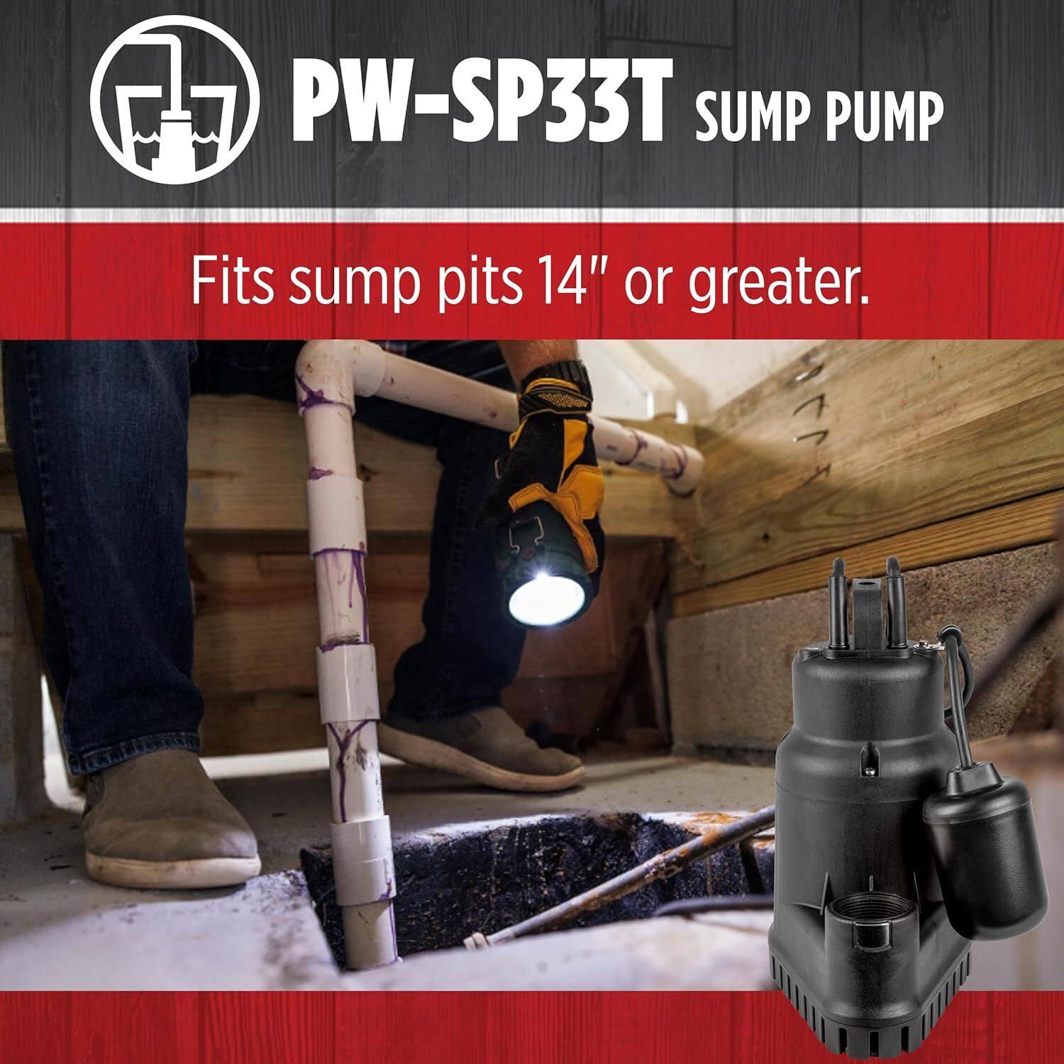 Red Lion 1/3-HP Sump Pump