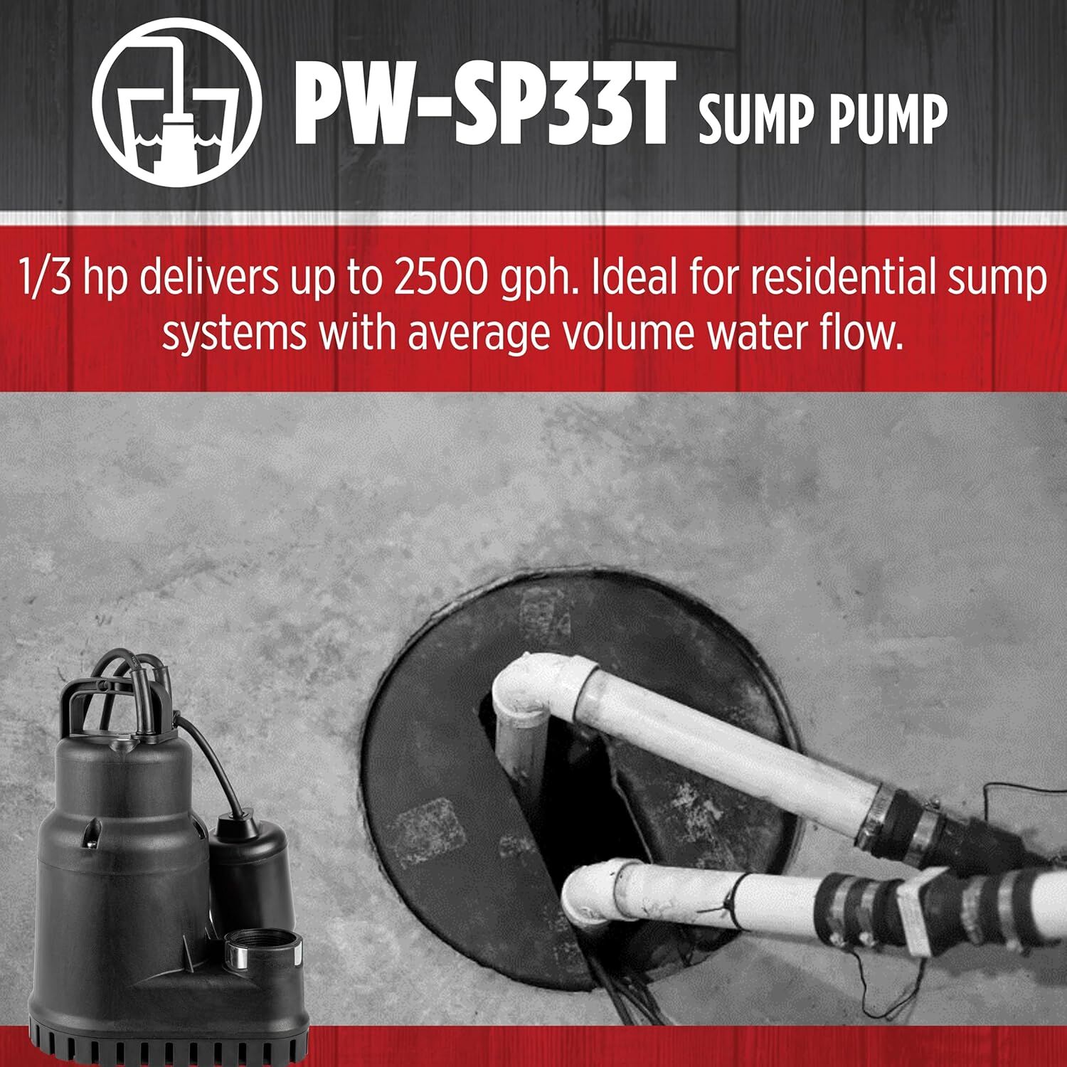 Red Lion 1/3-HP Sump Pump