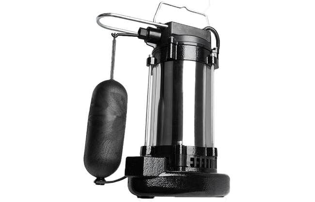 Red Lion Stainless Steel Sump Pump, 3/4 HP, 1 1/2 in., 75 GPM