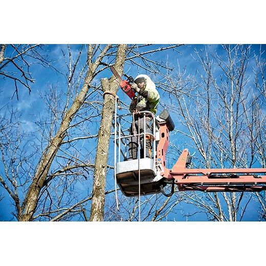 Milwaukee M18 FUEL 16-In Chainsaw (Tool Only)