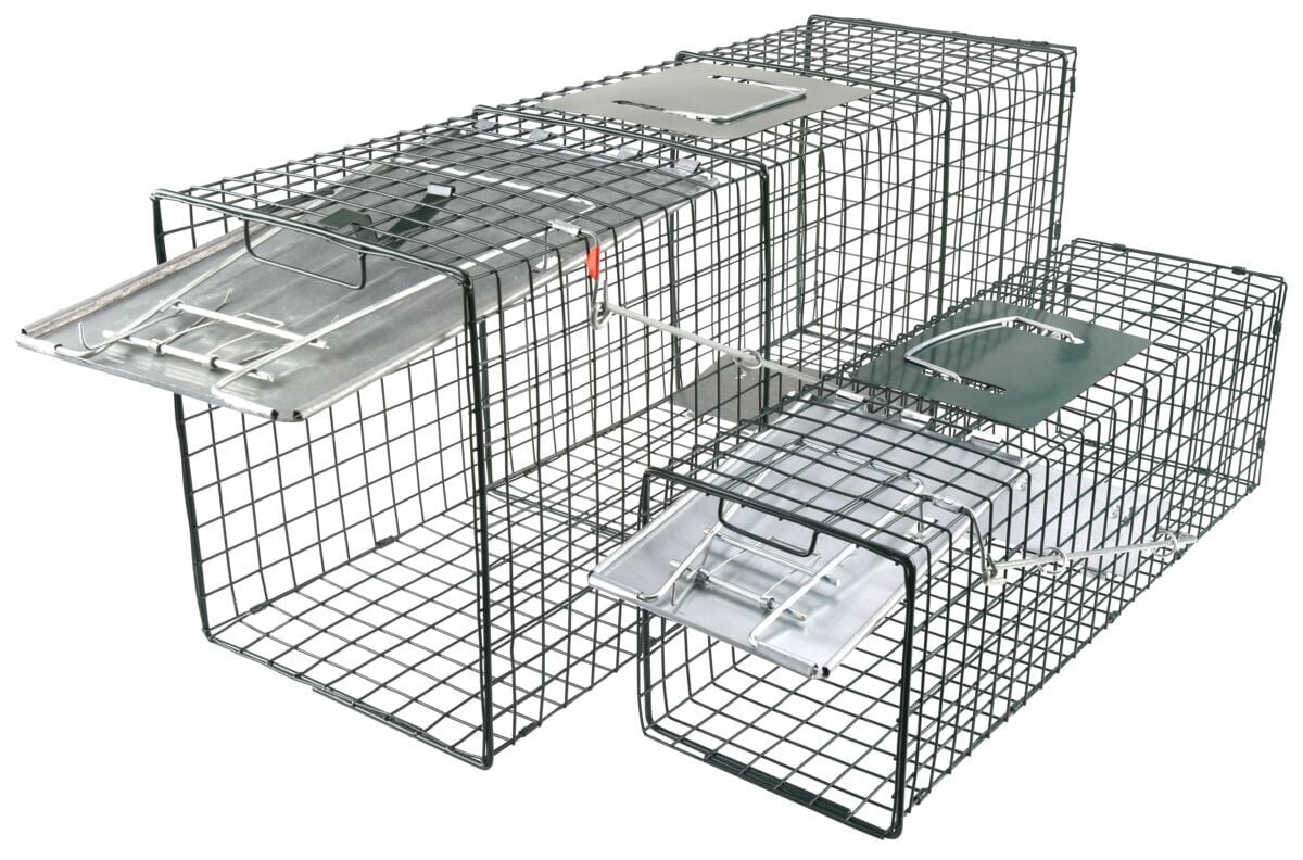 Water Wood Live Animal Trap, 2-Pk