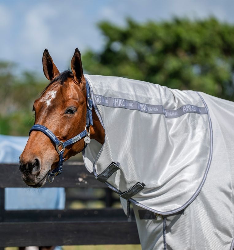 Horseware Silver Amigo Bug Rug Plus Fly Sheet, 75-In