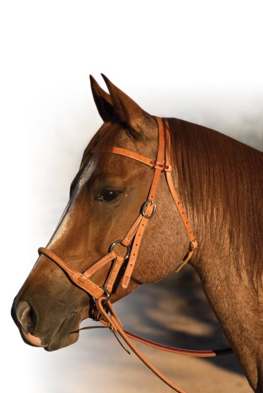 Professional's Choice Round Leather Nose Side Pull