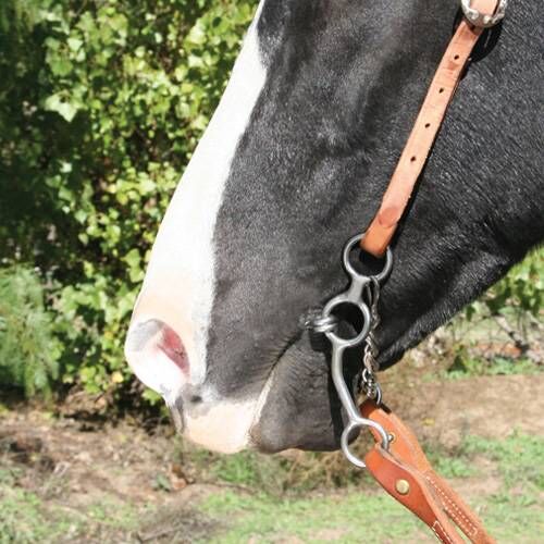 Professional's Choice Long Shank Bit Horse Dogbone