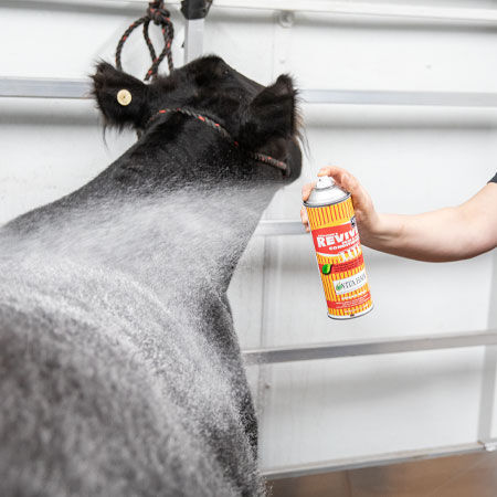 Sullivan Supply Revive Lite Skin and Hair Conditioner, 17-Oz