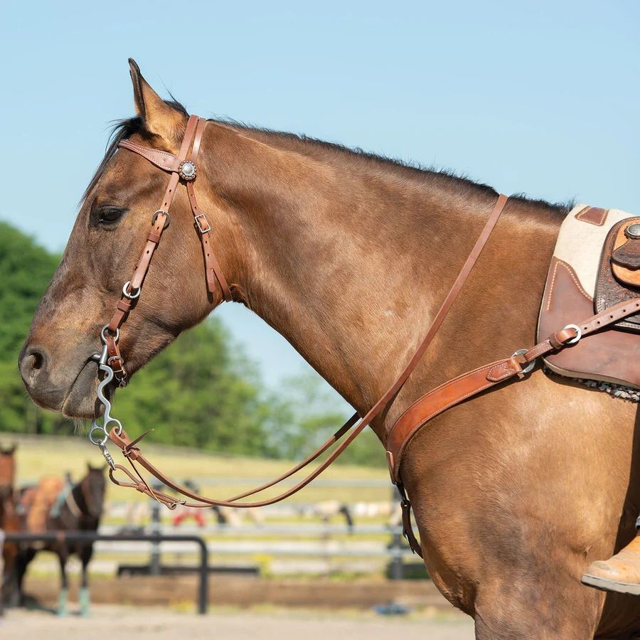 Weaver Leather Latigo Leather Flat Sliding Ear Headstall