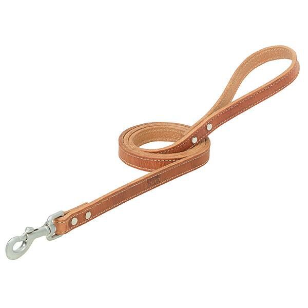Terrain D.O.G. Harness Leather Dog Leash, 3/4-In x 4-Ft