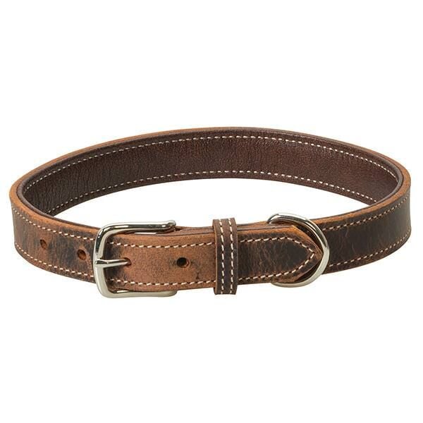 Weaver Leather Crazy Horse Dog Collar, 1-In x 19-In