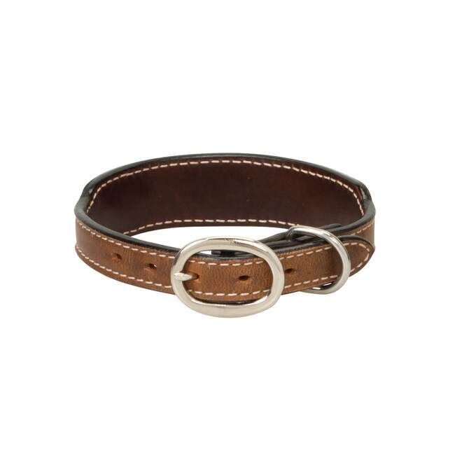 Weaver Leather Aztec Dog Collar, 3/4-In x 15-In
