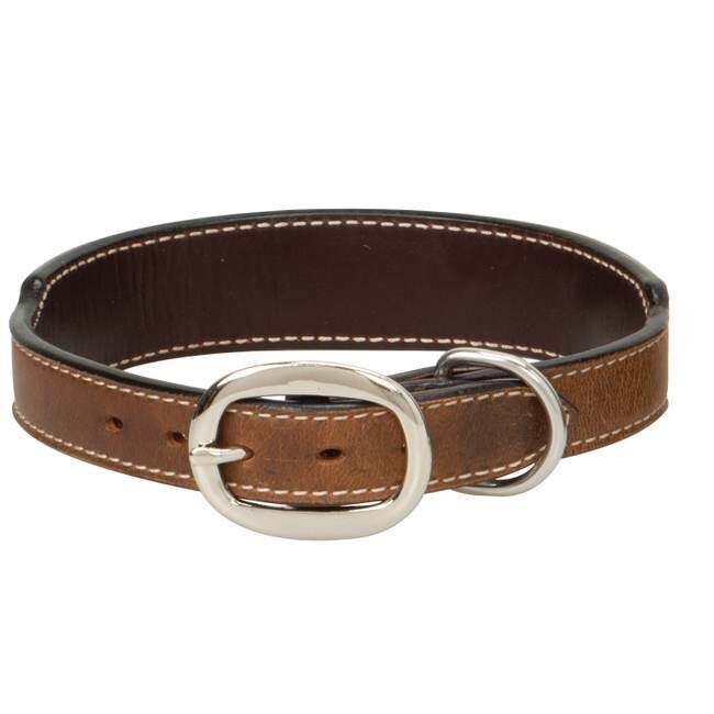 Weaver Leather Aztec Dog Collar, 1-In x 19-In