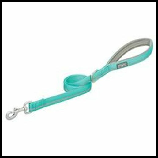 Weaver Leather Reflective Lined Dog Leash - Mint, 1 X 4 ft