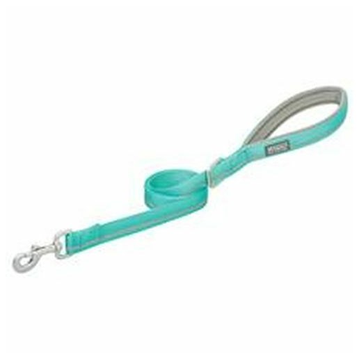 Weaver Leather Reflective Lined Dog Leash - Mint, 1 X 4 ft