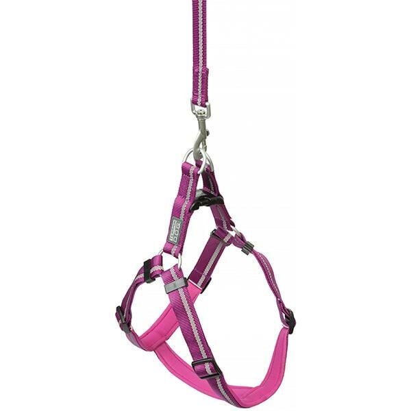 Terrain D.O.G. Medium Purple Reflective Neoprene Lined Harness