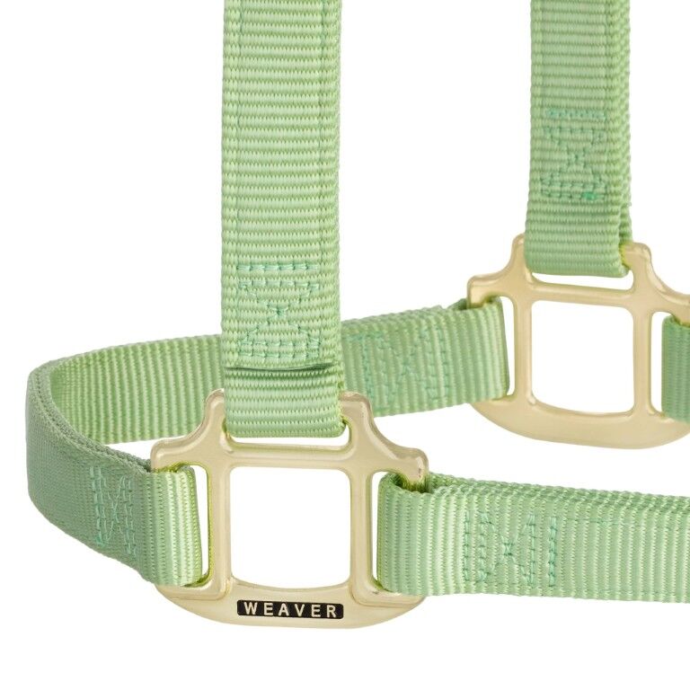 Weaver Leather Pistachio Green Average Original Non-Adjustable Halter, 1-In