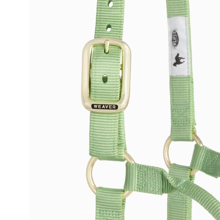 Weaver Leather Pistachio Green Average Original Non-Adjustable Halter, 1-In