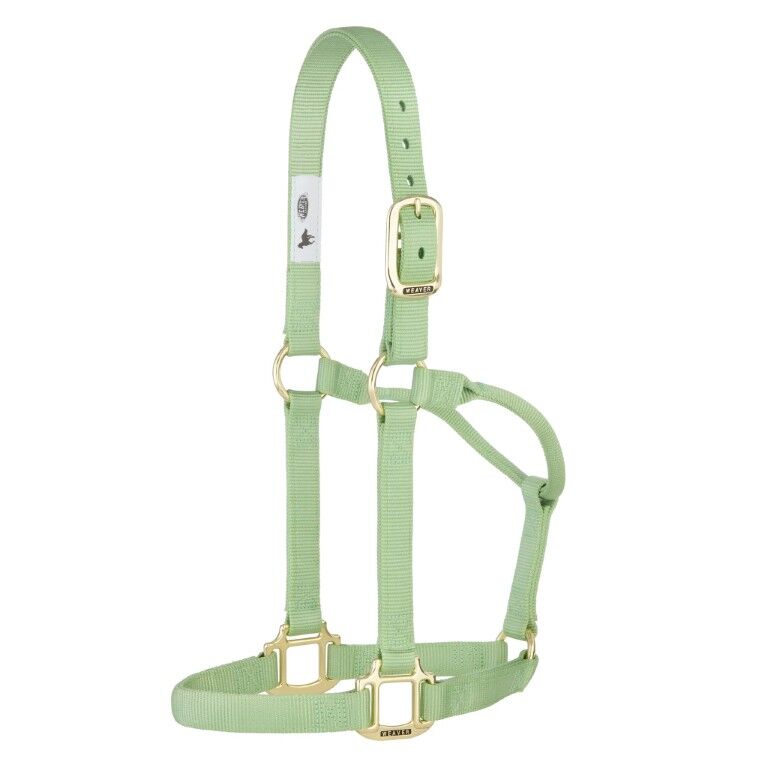 Weaver Leather Pistachio Green Average Original Non-Adjustable Halter, 1-In
