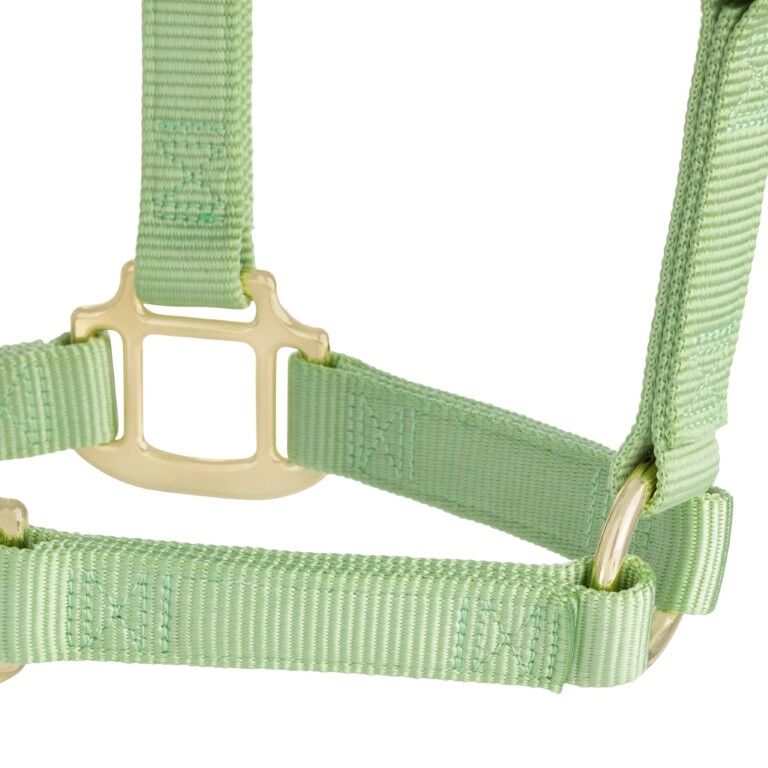 Weaver Leather Pistachio Green Average Original Non-Adjustable Halter, 1-In