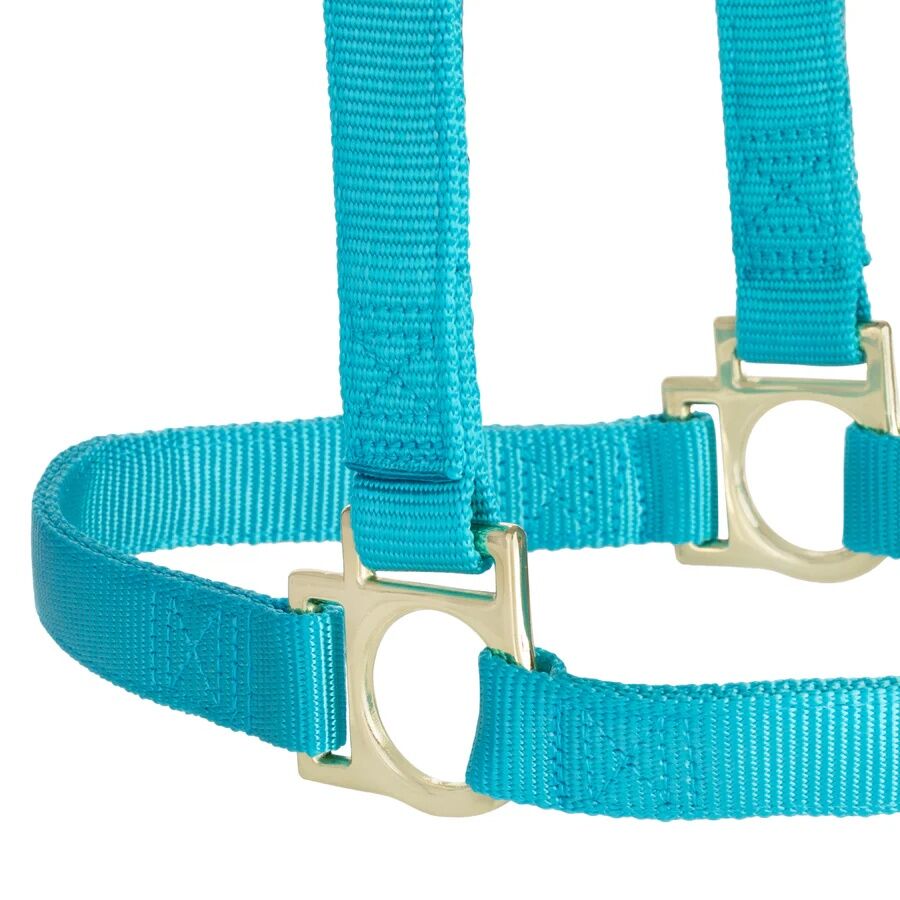 Weaver Equine Basic Non-Adjustable Small Turquoise Halter, 1-In