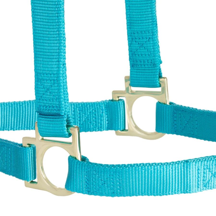 Weaver Equine Basic Non-Adjustable Small Turquoise Halter, 1-In