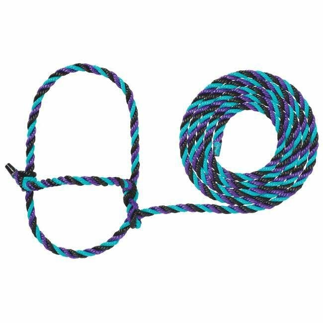 Weaver Leather Cattle Rope Halter - Purple/Black/Teal