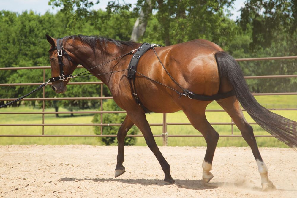 Mustang Manufacturing Balanced Training System