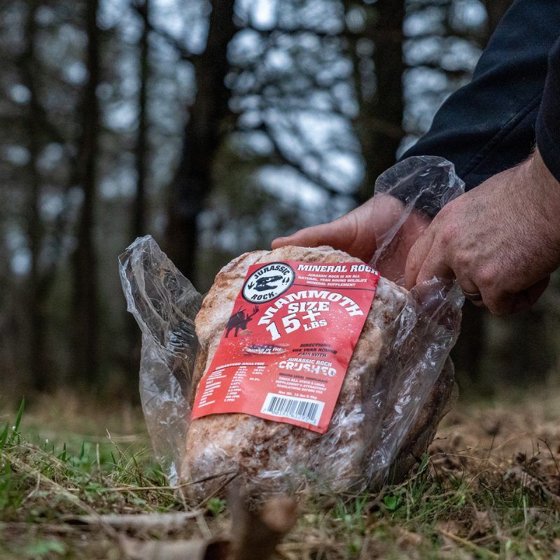 Jurassic Rock Mammoth Mineral Rock, 15-Lb