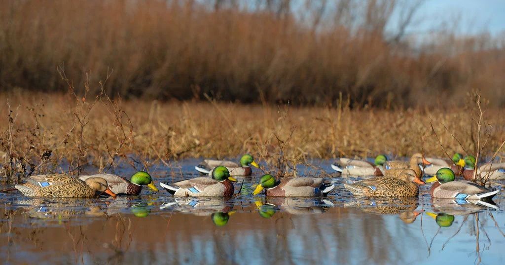 GHG Pro-Grade XD Series Mallard Harvester Pack Decoys, 6-Pk